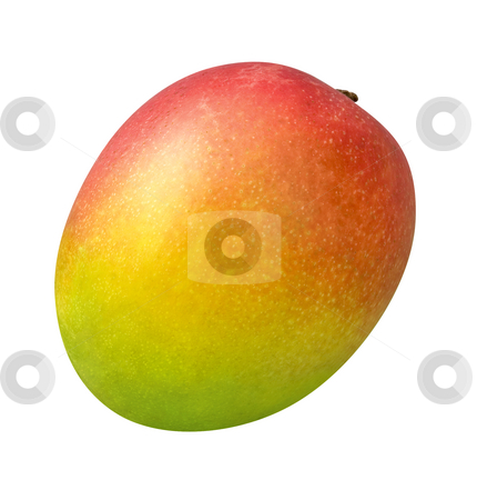 To use this stock image in your creative project, please select the size you need over to the right and click the "Add to Cart" button.
Your downloaded image will come with the Cutcaster watermark removed so don’t worry about the watermark you see on this page. Mango stock photo, Mango isolated on a white background by Danny Smythe