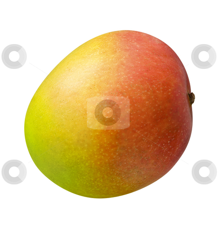 To use this stock image in your creative project, please select the size you need over to the right and click the "Add to Cart" button.
Your downloaded image will come with the Cutcaster watermark removed so don’t worry about the watermark you see on this page. Mango stock photo, Mango isolated on a white background by Danny Smythe