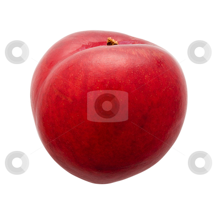 To use this stock image in your creative project, please select the size you need over to the right and click the "Add to Cart" button.
Your downloaded image will come with the Cutcaster watermark removed so don’t worry about the watermark you see on this page. Plum stock photo, Plum isolated on a white background by Danny Smythe