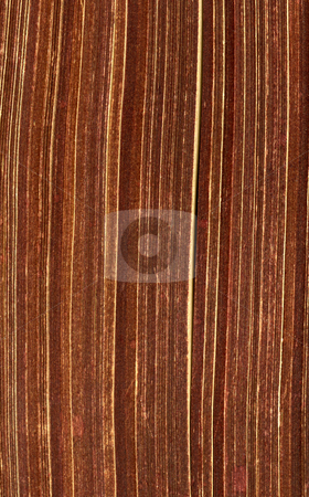 To use this stock image in your creative project, please select the size you need over to the right and click the "Add to Cart" button.
Your downloaded image will come with the Cutcaster watermark removed so don’t worry about the watermark you see on this page. Close up of pages from a 1932 antique book. stock photo, Close up of pages from a 1932 antique book. by Stephen Rees