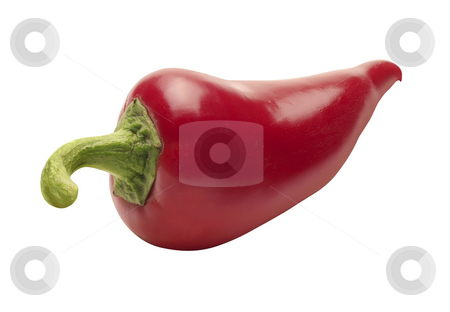 To use this stock image in your creative project, please select the size you need over to the right and click the "Add to Cart" button.
Your downloaded image will come with the Cutcaster watermark removed so don’t worry about the watermark you see on this page. Red Hot Chili Pepper stock photo, Red Hot Chili Pepper isolated on a white background by Danny Smythe