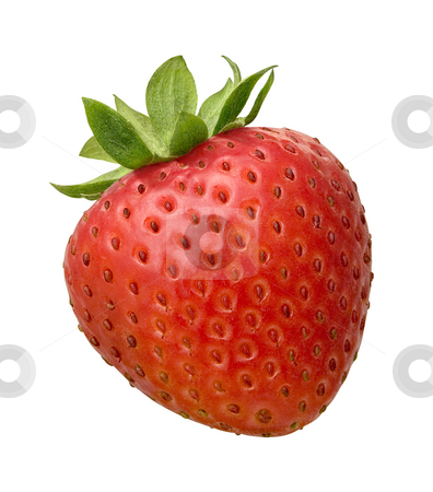To use this stock image in your creative project, please select the size you need over to the right and click the "Add to Cart" button.
Your downloaded image will come with the Cutcaster watermark removed so don’t worry about the watermark you see on this page. Strawberry stock photo, Strawberry isolated on a white background by Danny Smythe