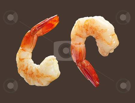 To use this stock image in your creative project, please select the size you need over to the right and click the "Add to Cart" button.
Your downloaded image will come with the Cutcaster watermark removed so don’t worry about the watermark you see on this page. Two Shrimp stock photo, Two Shrimp isolated on a dark background by Danny Smythe