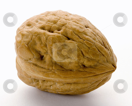 To use this stock image in your creative project, please select the size you need over to the right and click the "Add to Cart" button.
Your downloaded image will come with the Cutcaster watermark removed so don’t worry about the watermark you see on this page. Walnut stock photo, Walnut isolated on a white background by Danny Smythe
