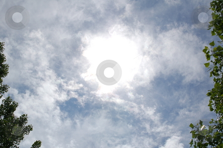 To use this stock image in your creative project, please select the size you need over to the right and click the "Add to Cart" button.
Your downloaded image will come with the Cutcaster watermark removed so don’t worry about the watermark you see on this page. Sky opens up stock photo, This shot was after a small storm. The sky just opened up. by Jennifer Benjamin