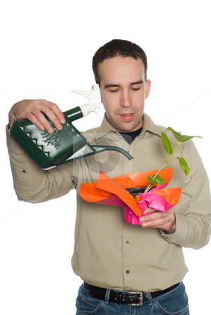 To use this stock image in your creative project, please select the size you need over to the right and click the "Add to Cart" button.
Your downloaded image will come with the Cutcaster watermark removed so don’t worry about the watermark you see on this page. Man Watering Plant stock photo, A young man watering a plant, isolated against a white background by Richard Nelson
