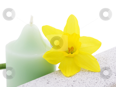 To use this stock image in your creative project, please select the size you need over to the right and click the "Add to Cart" button.
Your downloaded image will come with the Cutcaster watermark removed so don’t worry about the watermark you see on this page. Daffodil, candle and Stone stock photo, Daffodil, Candle and Stone on a white background by John Teeter