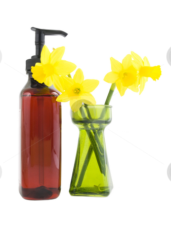 To use this stock image in your creative project, please select the size you need over to the right and click the "Add to Cart" button.
Your downloaded image will come with the Cutcaster watermark removed so don’t worry about the watermark you see on this page. Soap and Daffodils stock photo, Soap and Daffodil flowers on a white background by John Teeter