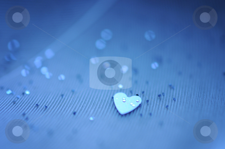 To use this stock image in your creative project, please select the size you need over to the right and click the "Add to Cart" button.
Your downloaded image will come with the Cutcaster watermark removed so don’t worry about the watermark you see on this page. Heart stock photo, Tiny heart on a feather by Angelique Brunas