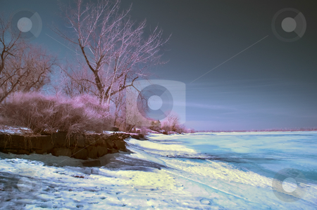 To use this stock image in your creative project, please select the size you need over to the right and click the "Add to Cart" button.
Your downloaded image will come with the Cutcaster watermark removed so don’t worry about the watermark you see on this page. Infrared Landscape stock photo, Winter scene shot with an infrared filter by Vlad Podkhlebnik