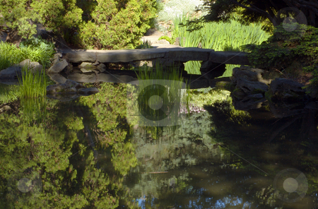 To use this stock image in your creative project, please select the size you need over to the right and click the "Add to Cart" button.
Your downloaded image will come with the Cutcaster watermark removed so don’t worry about the watermark you see on this page. Pond stock photo, Trees and grass on pond shore by Pavel Cheiko