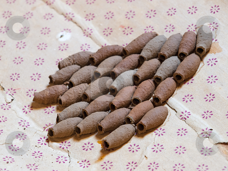To use this stock image in your creative project, please select the size you need over to the right and click the "Add to Cart" button.
Your downloaded image will come with the Cutcaster watermark removed so don’t worry about the watermark you see on this page. Solitary wasp cells stock photo, Closeup of naturally sorted wasp cocoons or nest. by Sinisa Botas