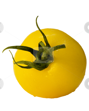 To use this stock image in your creative project, please select the size you need over to the right and click the "Add to Cart" button.
Your downloaded image will come with the Cutcaster watermark removed so don’t worry about the watermark you see on this page. Fresh yellow vine hothouse tomato stock photo, Fresh yellow vine hothouse tomato with water drop isolated on a white background by Terry McClary