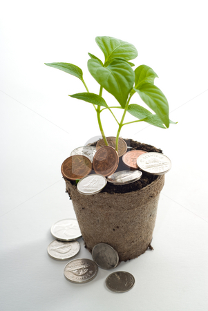 To use this stock image in your creative project, please select the size you need over to the right and click the "Add to Cart" button.
Your downloaded image will come with the Cutcaster watermark removed so don’t worry about the watermark you see on this page. Money Tree stock photo, Concept image of a money tree with loose change laying around it by Richard Nelson