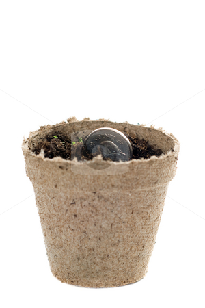To use this stock image in your creative project, please select the size you need over to the right and click the "Add to Cart" button.
Your downloaded image will come with the Cutcaster watermark removed so don’t worry about the watermark you see on this page. Money Seed stock photo, Concept image of a coin being used as a seed, to signify growing investments or profits by Richard Nelson