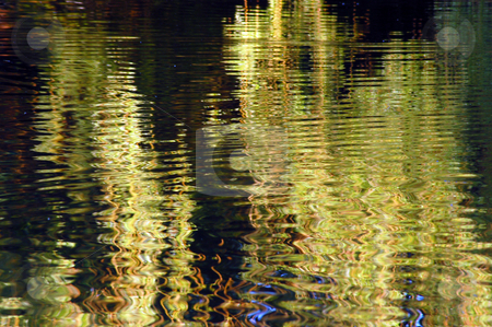 To use this stock image in your creative project, please select the size you need over to the right and click the "Add to Cart" button.
Your downloaded image will come with the Cutcaster watermark removed so don’t worry about the watermark you see on this page. Color reflection stock photo, Color reflection of leaves in water of wood lake by Pavel Cheiko