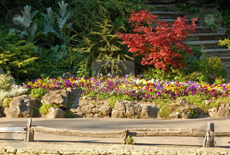 To use this stock image in your creative project, please select the size you need over to the right and click the "Add to Cart" button.
Your downloaded image will come with the Cutcaster watermark removed so don’t worry about the watermark you see on this page. Park stock photo, Colorful flowers and bushes in sunset light by Pavel Cheiko