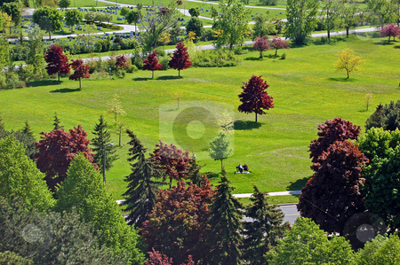 To use this stock image in your creative project, please select the size you need over to the right and click the "Add to Cart" button.
Your downloaded image will come with the Cutcaster watermark removed so don’t worry about the watermark you see on this page. Park stock photo, Landscape - Small park and grass field with small flowers by Pavel Cheiko