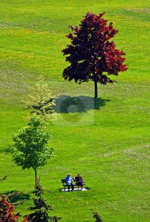 To use this stock image in your creative project, please select the size you need over to the right and click the "Add to Cart" button.
Your downloaded image will come with the Cutcaster watermark removed so don’t worry about the watermark you see on this page. Relaxation stock photo, Two old people on the bench in park by Pavel Cheiko