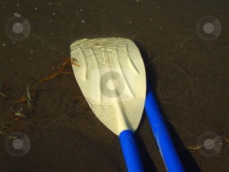 To use this stock image in your creative project, please select the size you need over to the right and click the "Add to Cart" button.
Your downloaded image will come with the Cutcaster watermark removed so don’t worry about the watermark you see on this page. Canoe Paddles stock photo, by Michael Felix