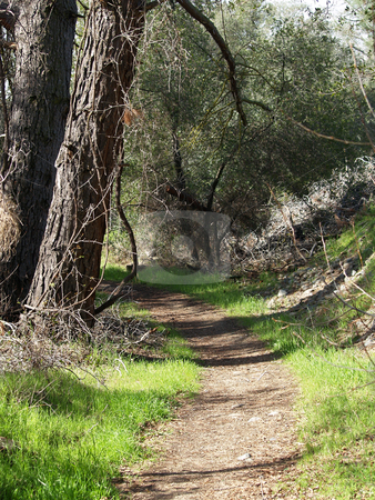 To use this stock image in your creative project, please select the size you need over to the right and click the "Add to Cart" button.
Your downloaded image will come with the Cutcaster watermark removed so don’t worry about the watermark you see on this page. Curved walking path in park going into shadows stock photo, Foot path in park curving around trees into shadow by Jeff Cleveland