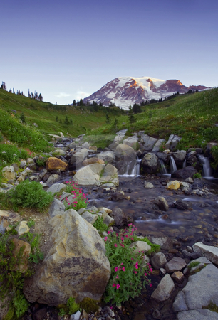 To use this stock image in your creative project, please select the size you need over to the right and click the "Add to Cart" button.
Your downloaded image will come with the Cutcaster watermark removed so don’t worry about the watermark you see on this page. Sunrise Cascade stock photo, First Light on Mt. Rainier as a small creek flows by rock and wildflowers down its slopes. by Mike Dawson
