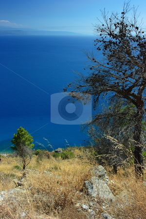 To use this stock image in your creative project, please select the size you need over to the right and click the "Add to Cart" button.
Your downloaded image will come with the Cutcaster watermark removed so don’t worry about the watermark you see on this page. Torrid flora stock photo, Torrid flora against deep blue sea by Natalia Macheda