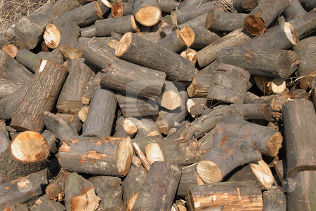 To use this stock image in your creative project, please select the size you need over to the right and click the "Add to Cart" button.
Your downloaded image will come with the Cutcaster watermark removed so don’t worry about the watermark you see on this page. Woods stock photo, Cut wood in chaotic heap outdoor background by Julija Sapic