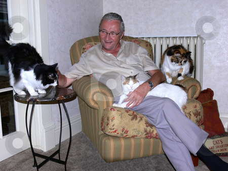 To use this stock image in your creative project, please select the size you need over to the right and click the "Add to Cart" button.
Your downloaded image will come with the Cutcaster watermark removed so don’t worry about the watermark you see on this page. Man with three cat's. stock photo, A man is busy with three cats there all looking for his attention. by Horst Petzold