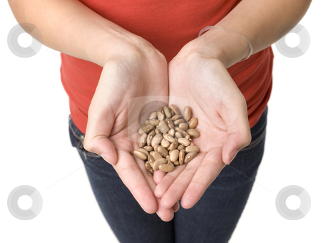 To use this stock image in your creative project, please select the size you need over to the right and click the "Add to Cart" button.
Your downloaded image will come with the Cutcaster watermark removed so don’t worry about the watermark you see on this page. A girl with beans stock photo, A girl holds a handfull of beans by Rick Becker-Leckrone