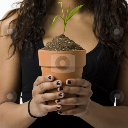 To use this stock image in your creative project, please select the size you need over to the right and click the "Add to Cart" button.
Your downloaded image will come with the Cutcaster watermark removed so don’t worry about the watermark you see on this page. Girl with potted plant stock photo, A girl holds a potted plant by Rick Becker-Leckrone