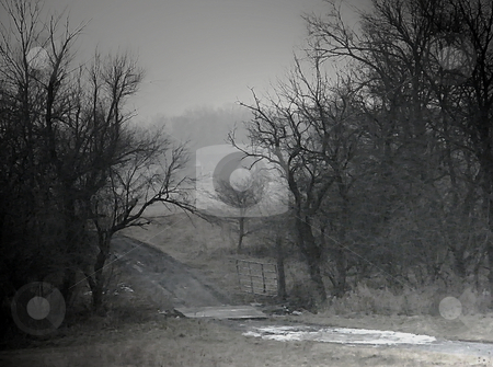 To use this stock image in your creative project, please select the size you need over to the right and click the "Add to Cart" button.
Your downloaded image will come with the Cutcaster watermark removed so don’t worry about the watermark you see on this page. Off Road Country Winter (digital art) stock photo, Off Road Country Winter (digital art).. Crosshatched, Dirt roadway with ice and snow patches, a gate and makeshift bridge which crosses a small creek surrounded by trees. by Dazz Lee Photography