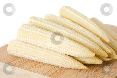 To use this stock image in your creative project, please select the size you need over to the right and click the "Add to Cart" button.
Your downloaded image will come with the Cutcaster watermark removed so don’t worry about the watermark you see on this page. Baby corn stock photo, Baby corn by Andrey Butenko