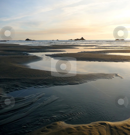 To use this stock image in your creative project, please select the size you need over to the right and click the "Add to Cart" button.
Your downloaded image will come with the Cutcaster watermark removed so don’t worry about the watermark you see on this page. Coastal tidepools at sunset on Oregon beach stock photo, Coastal tidepools meander on the beach at sunset in Oregon by Jill Reid