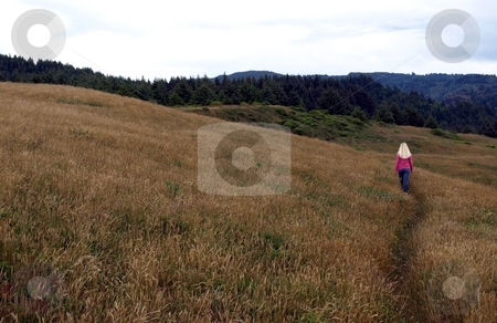 To use this stock image in your creative project, please select the size you need over to the right and click the "Add to Cart" button.
Your downloaded image will come with the Cutcaster watermark removed so don’t worry about the watermark you see on this page. Girl walking on open grassy hillside 682A stock photo, Girl walking along path on open grassy hillside by Jill Reid
