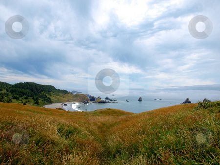 To use this stock image in your creative project, please select the size you need over to the right and click the "Add to Cart" button.
Your downloaded image will come with the Cutcaster watermark removed so don’t worry about the watermark you see on this page. Grassy hillside overlooking ocean stock photo, Rolling grassy hillside overlooking ocean and beach on a cloudy day by Jill Reid