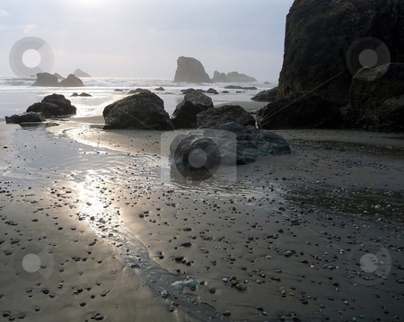 To use this stock image in your creative project, please select the size you need over to the right and click the "Add to Cart" button.
Your downloaded image will come with the Cutcaster watermark removed so don’t worry about the watermark you see on this page. Pebbles reflect on a rocky beach at sunset stock photo, Dramatic lighting reflects the sky and pebbles along a rocky beach by Jill Reid