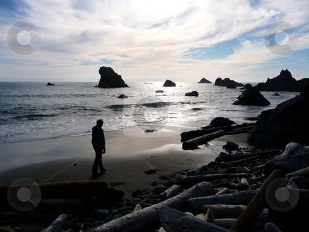 To use this stock image in your creative project, please select the size you need over to the right and click the "Add to Cart" button.
Your downloaded image will come with the Cutcaster watermark removed so don’t worry about the watermark you see on this page. Adult man strolling on beach with dramatic sky stock photo, A adult man strolls along a sandy beach, with the sunset reflected on the shore by Jill Reid