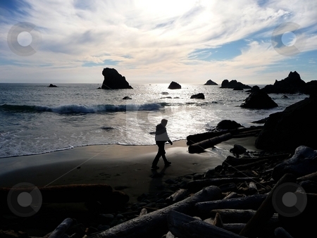 To use this stock image in your creative project, please select the size you need over to the right and click the "Add to Cart" button.
Your downloaded image will come with the Cutcaster watermark removed so don’t worry about the watermark you see on this page. Adult man strolling on beach with dramatic sky stock photo, A adult man strolls along a sandy beach, with the sunset reflected on the shore by Jill Reid
