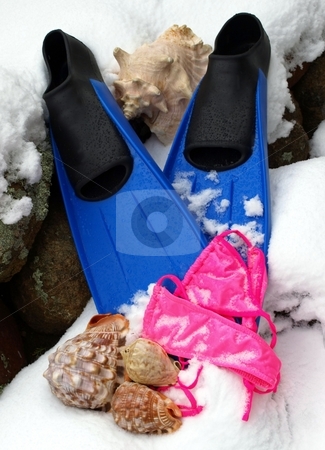 To use this stock image in your creative project, please select the size you need over to the right and click the "Add to Cart" button.
Your downloaded image will come with the Cutcaster watermark removed so don’t worry about the watermark you see on this page. Blue snorkel fins, seashells, bathing suit in the snow stock photo, Dreaming of the beach in the wintertime with snorkel finds, pink bathing suit and seashells in the snow by Jill Reid