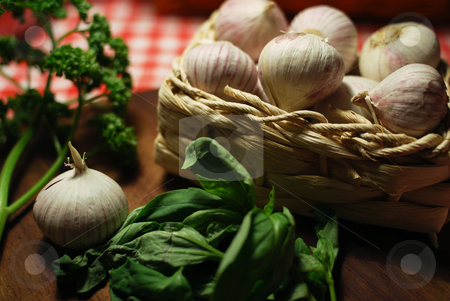 To use this stock image in your creative project, please select the size you need over to the right and click the "Add to Cart" button.
Your downloaded image will come with the Cutcaster watermark removed so don’t worry about the watermark you see on this page. Garlic stock photo, by Sarka