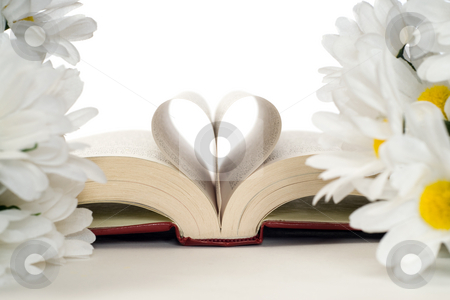 To use this stock image in your creative project, please select the size you need over to the right and click the "Add to Cart" button.
Your downloaded image will come with the Cutcaster watermark removed so don’t worry about the watermark you see on this page. Romantic Book stock photo, A romance novel with artificial daisies and a heart made with the pages by Richard Nelson