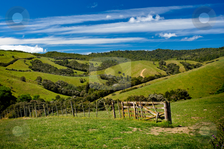 To use this stock image in your creative project, please select the size you need over to the right and click the "Add to Cart" button.
Your downloaded image will come with the Cutcaster watermark removed so don’t worry about the watermark you see on this page. Green rolling hills stock photo, Green fields and rolling hills in New Zealand by Angus Benham