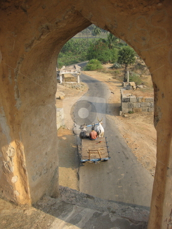 To use this stock image in your creative project, please select the size you need over to the right and click the "Add to Cart" button.
Your downloaded image will come with the Cutcaster watermark removed so don’t worry about the watermark you see on this page. Rural Life - India stock photo, An ox-drawn cart in India by Colin Elves
