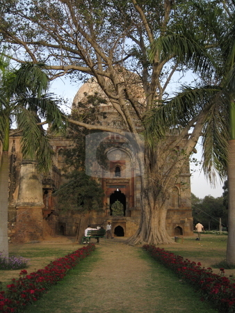 To use this stock image in your creative project, please select the size you need over to the right and click the "Add to Cart" button.
Your downloaded image will come with the Cutcaster watermark removed so don’t worry about the watermark you see on this page. Tree and Tomb stock photo, An old tomb in Lodhi Gardens, New Delhi, India by Colin Elves