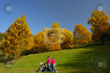 To use this stock image in your creative project, please select the size you need over to the right and click the "Add to Cart" button.
Your downloaded image will come with the Cutcaster watermark removed so don’t worry about the watermark you see on this page. A walk in autumn stock photo, Two young mothers walk with their pushchairs past trees bright with autumn colours. by Alistair Scott