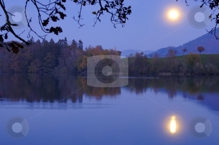 To use this stock image in your creative project, please select the size you need over to the right and click the "Add to Cart" button.
Your downloaded image will come with the Cutcaster watermark removed so don’t worry about the watermark you see on this page. Moonrise over the lake stock photo, A bright full moon rising over a calm lake, framed by the branches of an oak tree in the foreground.. Space for text on the water of the lake. by Alistair Scott