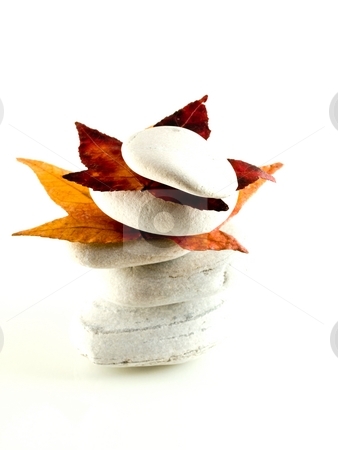 To use this stock image in your creative project, please select the size you need over to the right and click the "Add to Cart" button.
Your downloaded image will come with the Cutcaster watermark removed so don’t worry about the watermark you see on this page. Beach stones with fall leaves stock photo, White off beach stones with red fall leaves on white by Laurent Dambies
