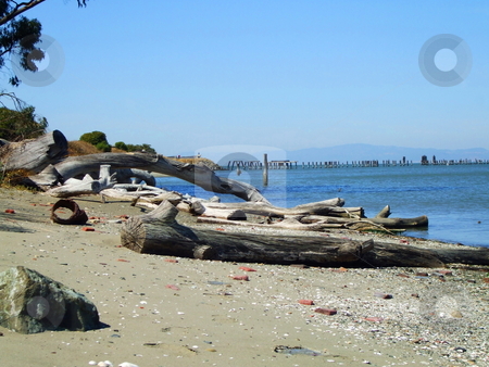 To use this stock image in your creative project, please select the size you need over to the right and click the "Add to Cart" button.
Your downloaded image will come with the Cutcaster watermark removed so don’t worry about the watermark you see on this page. Driftwood stock photo, by Michael Felix