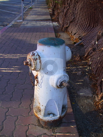 To use this stock image in your creative project, please select the size you need over to the right and click the "Add to Cart" button.
Your downloaded image will come with the Cutcaster watermark removed so don’t worry about the watermark you see on this page. Fire Hydrant stock photo, by Michael Felix